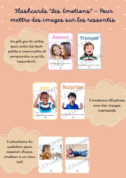 FLASHCARDS - Les émotions